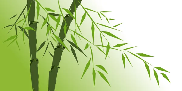 stock image Design of chinese bamboo trees