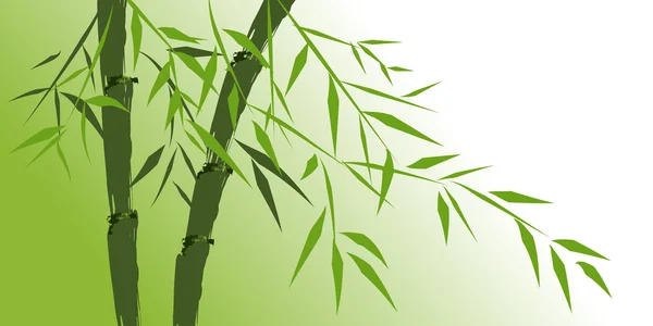 Stock image Design of chinese bamboo trees