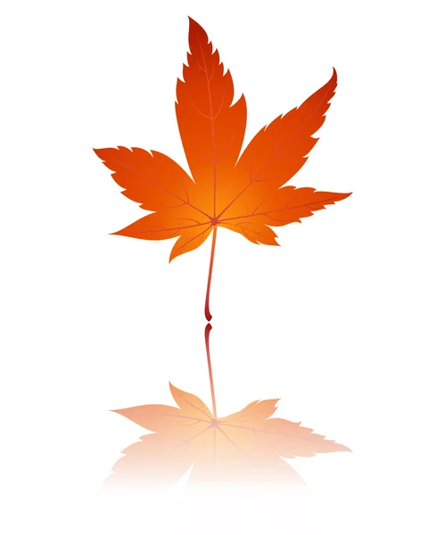 Ilustracja liść jesieni — Zdjęcie stockowe