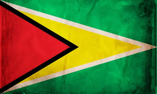 Guyana — Stock Photo, Image