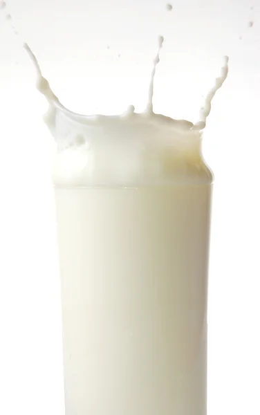 ミルク — ストック写真