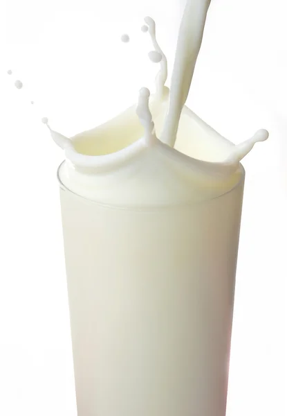 Leche — Foto de Stock