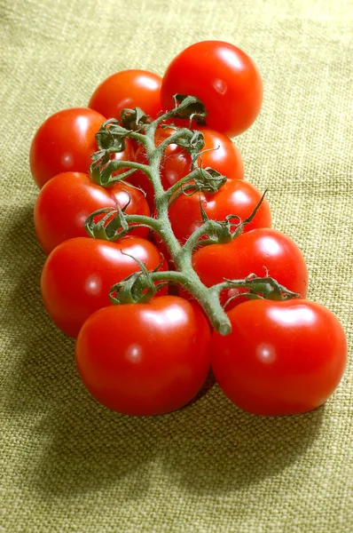 Red cherry tomatoes on the vine — Stock Photo, Image