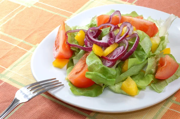 Salade fraîche aux tomates — Photo