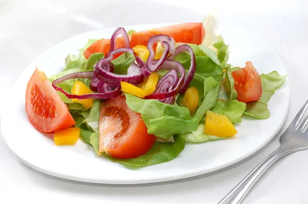 Frisk salat med tomater - Stock-foto