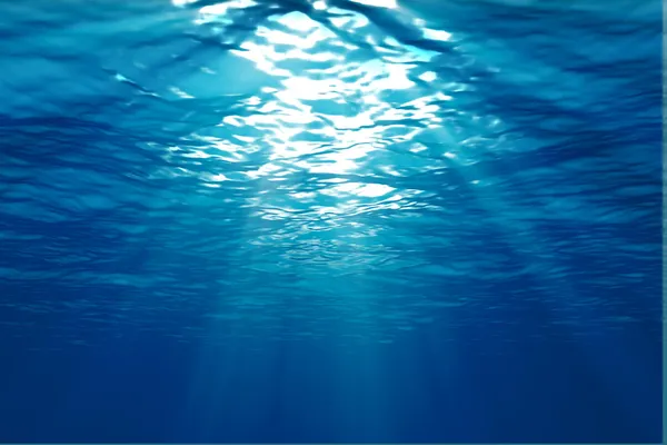 Uma cena subaquática — Fotografia de Stock