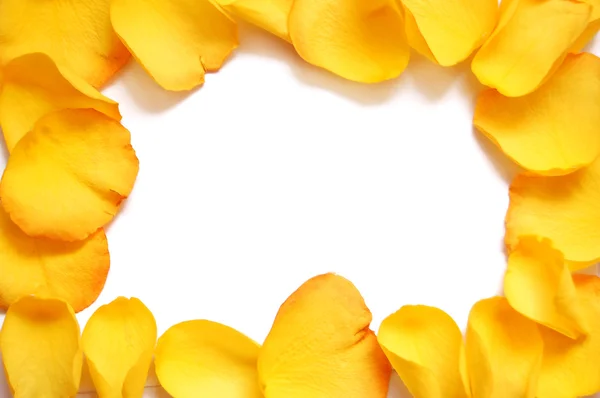 Порожня біла подарункова картка на ліжку жовтих пелюсток троянд — стокове фото