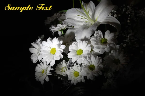 Bellissimi fiori bianchi — Foto Stock