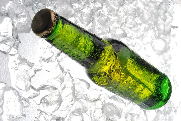 Bottle of beer on ice — Stock Photo, Image