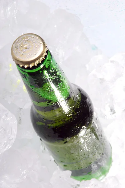 Bottle of beer on ice — Stock Photo, Image