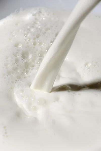 Menuangkan susu — Stok Foto