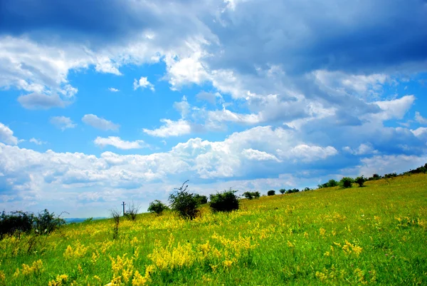 Зеленые луга и облака — стоковое фото