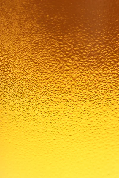 Glas bier close-up — Stockfoto