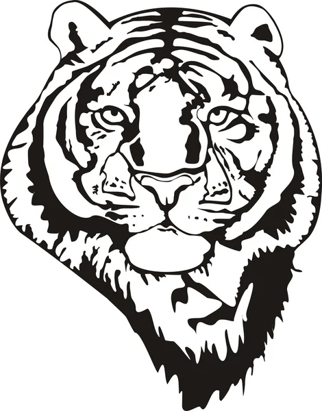 Tiger head — Stock Vector