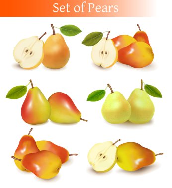 Big group of different fresh fruit. clipart