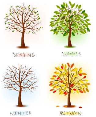 Картина, постер, плакат, фотообои "четыре сезона - весна, лето, осень, зима. арт-дерево красиво для вашего дизайна. векторная иллюстрация
.", артикул 10042127