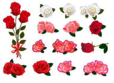 Set of a beautiful roses on a white background. Vector. clipart