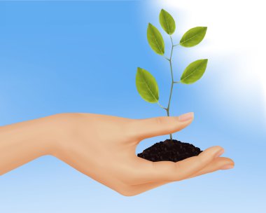 Person holding a young plant. Business concept.Vector illustration. clipart