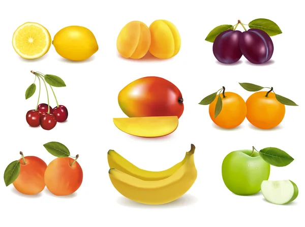 Gran grupo de diferentes frutas frescas . — Vector de stock