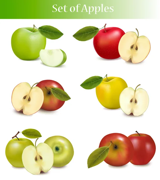 Big group of different fresh fruit. — Stock Vector