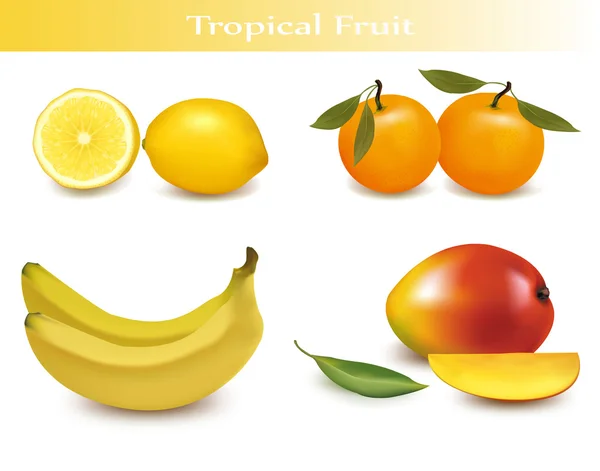 Grande grupo de frutas frescas diferentes . —  Vetores de Stock