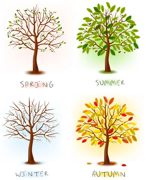 Vier Jahreszeiten - Frühling, Sommer, Herbst, Winter. Kunstbaum schön für Ihr Design. Vektorillustration. — Stockvektor