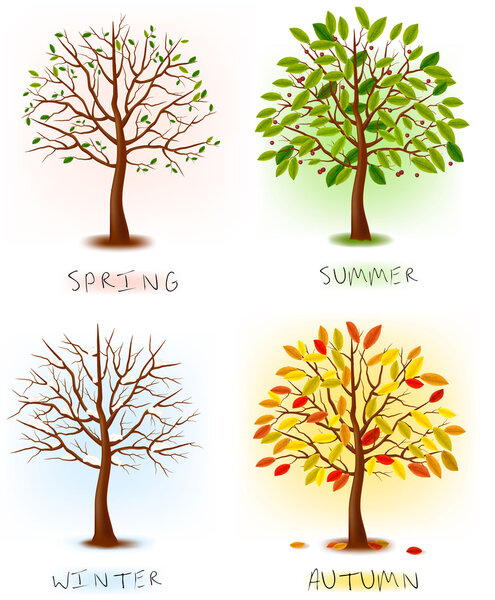 Четыре сезона - весна, лето, осень, зима. Арт-дерево красиво для вашего дизайна. Векторная иллюстрация
.