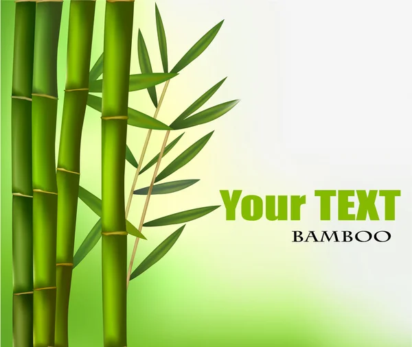 Bambu på grön bakgrund. — Stock vektor