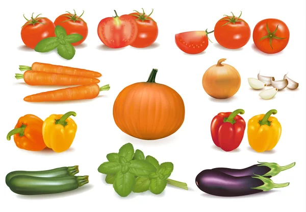 Le grand groupe coloré de légumes. Vecteur photo-réaliste . — Image vectorielle