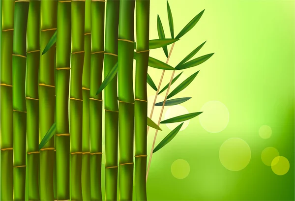Бамбук на зеленом фоне . — стоковый вектор