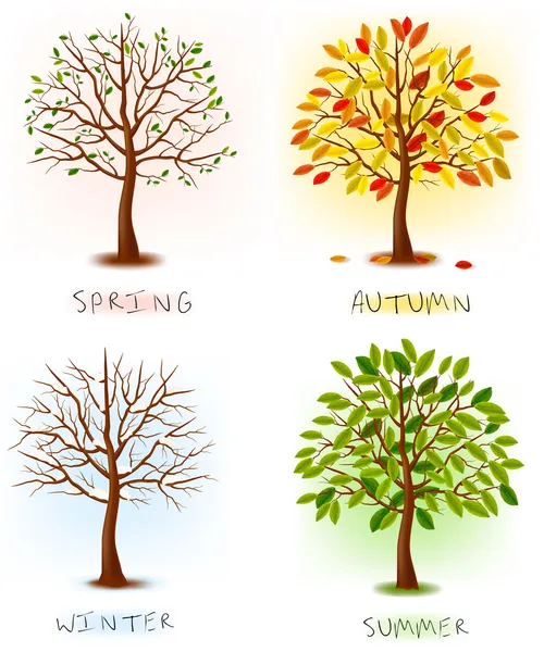 Vier Jahreszeiten - Frühling, Sommer, Herbst, Winter. — Stockvektor