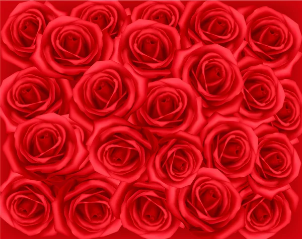 Background with red roses. Vector illustration. — Stock Vector