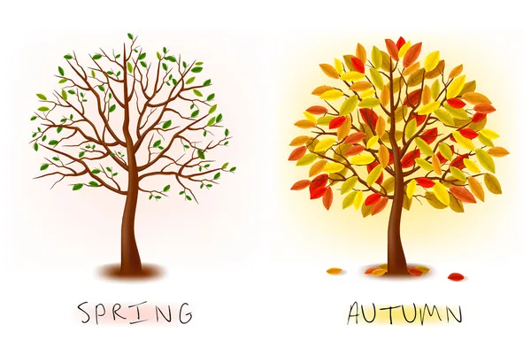Two seasons - spring, autumn. Art tree beautiful for your design. Vector illustration. — Stock Vector