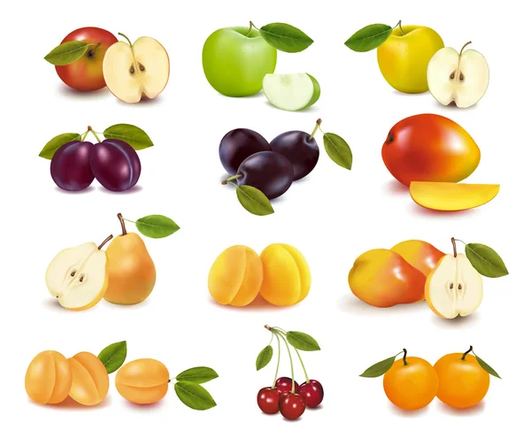 Große Gruppe von verschiedenen frischen Früchten. — Stockvektor