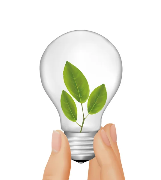Plant inside light bulb in hand. Vector illustration. — Stock Vector