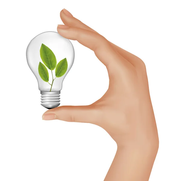 Planten binnen licht lamp in de hand. vectorillustratie. — Stockvector
