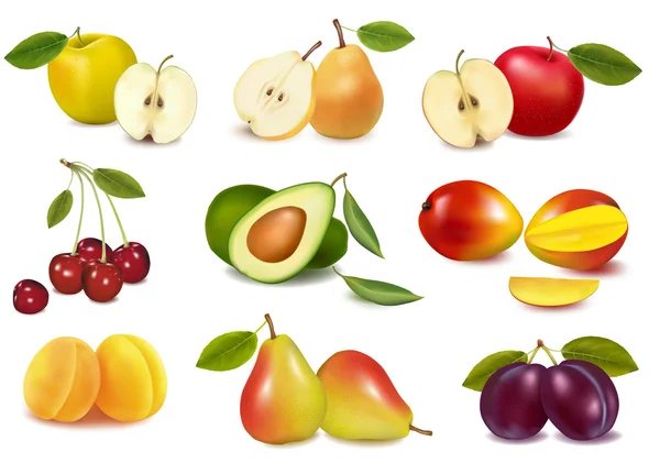 Grand groupe de fruits frais différents . — Image vectorielle