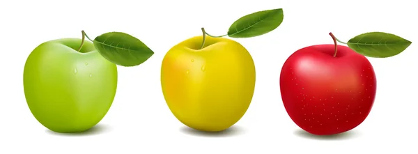Manzanas de color árbol. Diseño conceptual con espacio de copia. Ilustración vectorial — Vector de stock