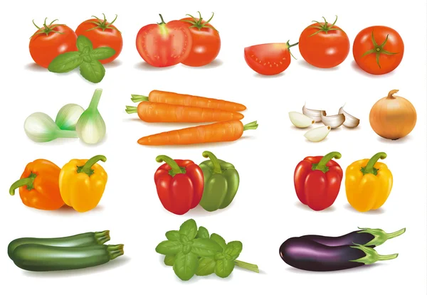 Velké barevné skupiny zeleniny. — Stockový vektor