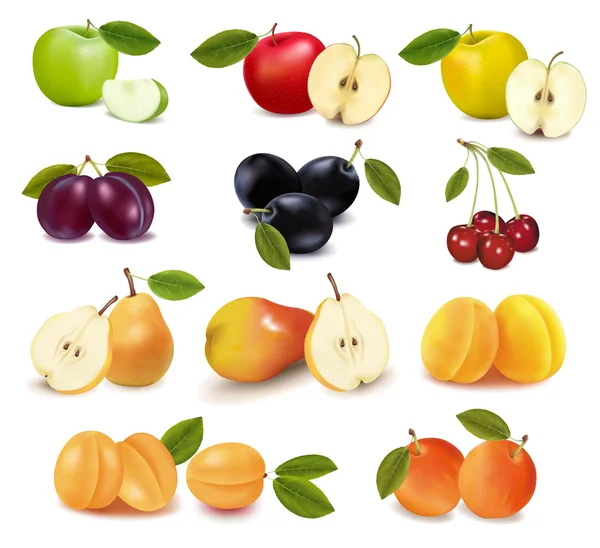 不同的新鲜水果大集团. — 图库矢量图片