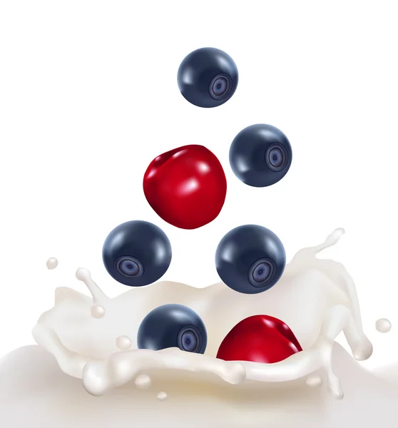 Blåbär och körsbär falla i mjölk stänk. vektor illustration — Stock vektor