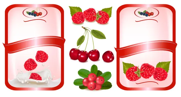 Две красные этикетки с ягодами и вишней . — стоковый вектор