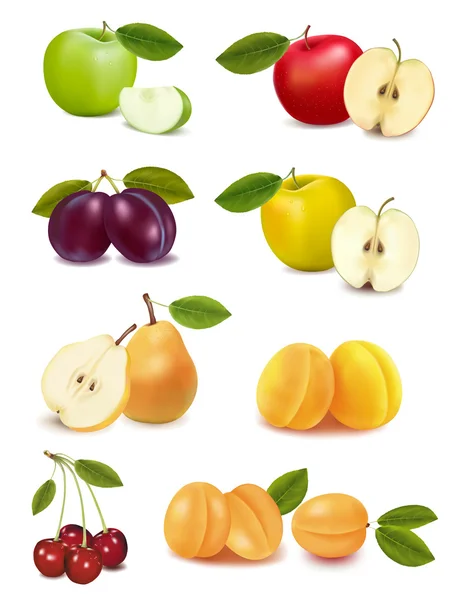 Grupo de peras y manzanas. ilustración . — Vector de stock