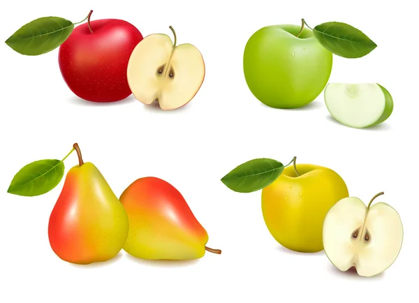 Group of pears and apples. illustration. — Stock Vector