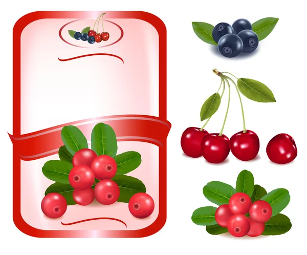 Красная метка с ягодами . — стоковый вектор