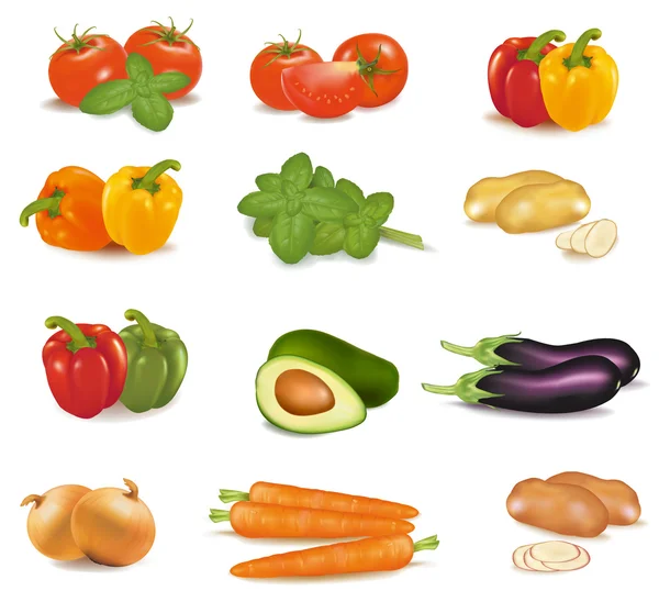 El gran grupo colorido de verduras . — Vector de stock
