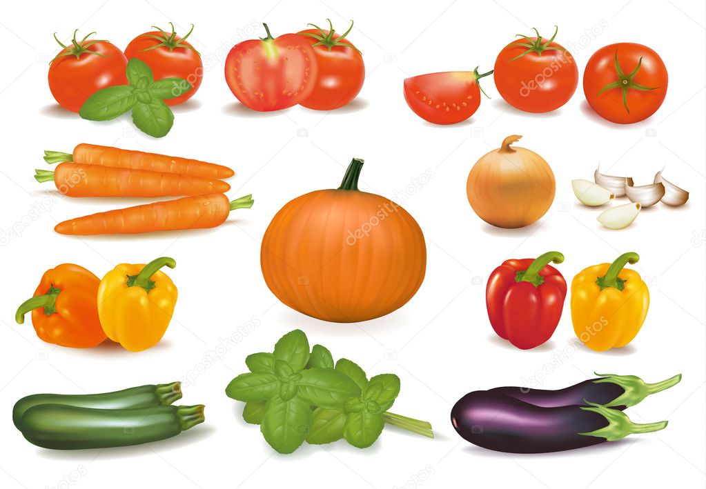 The big colorful group of vegetables. Photo-realistic vector.