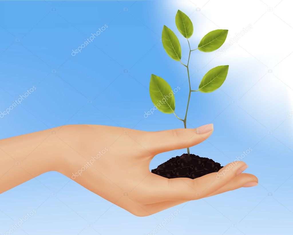 Person holding a young plant. Business concept.Vector illustration.