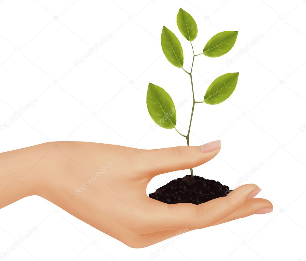 Person holding a young plant. Business concept.Vector illustration.