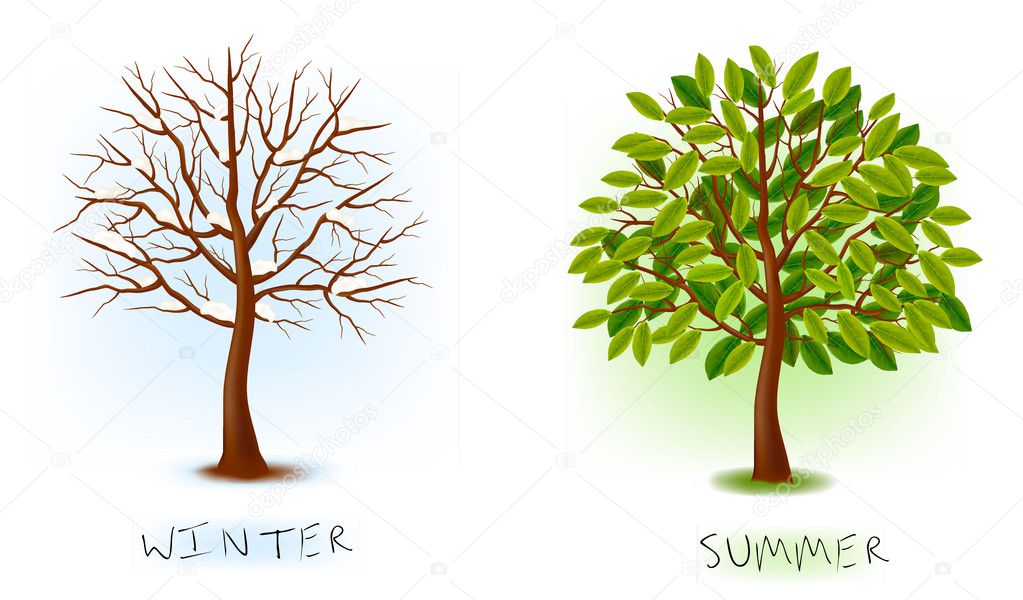 Two seasons - winter, summer. Art tree beautiful for your design. Vector illustration.